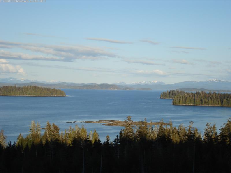 A view of the ocean and mountains from a hill.