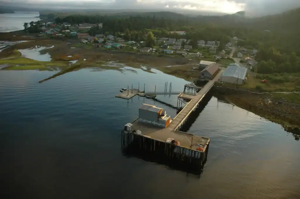 An aerial view of a dock and houses on the water.