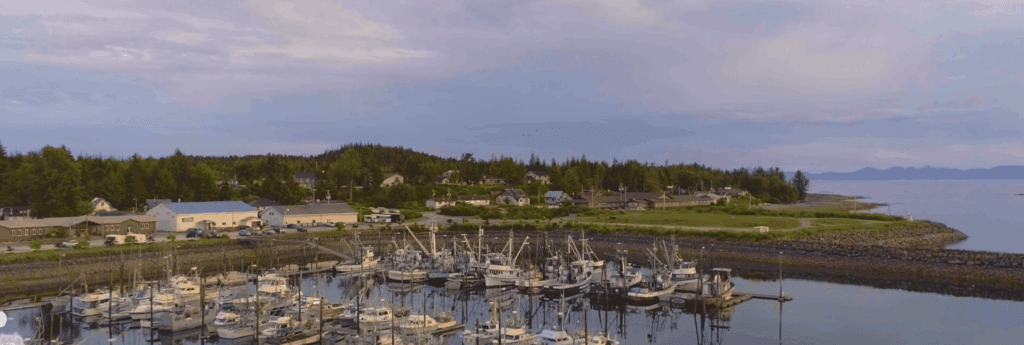 A view of a harbor with boats docked in it.
