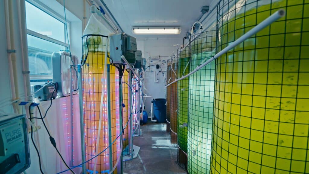 Containers of various liquids in different colors.