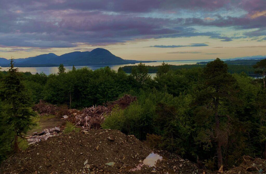 A hilltop with forests, ocean, and mountains in the background.