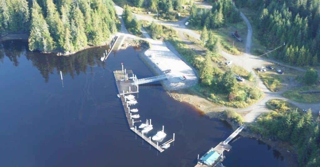 An aerial view of a marina with boats docked.