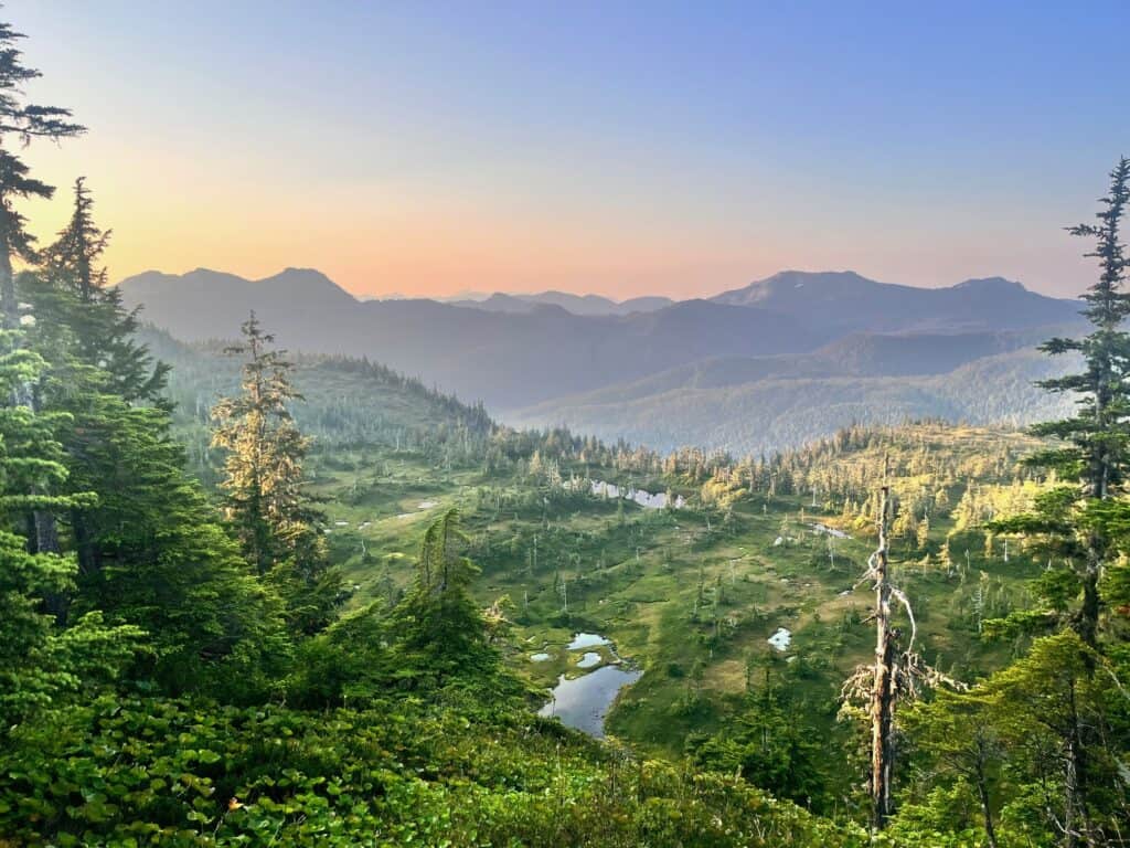 A view of the mountains and forest from a hillside.